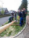Maibaum 2014