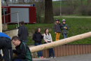 Maibaum 2016